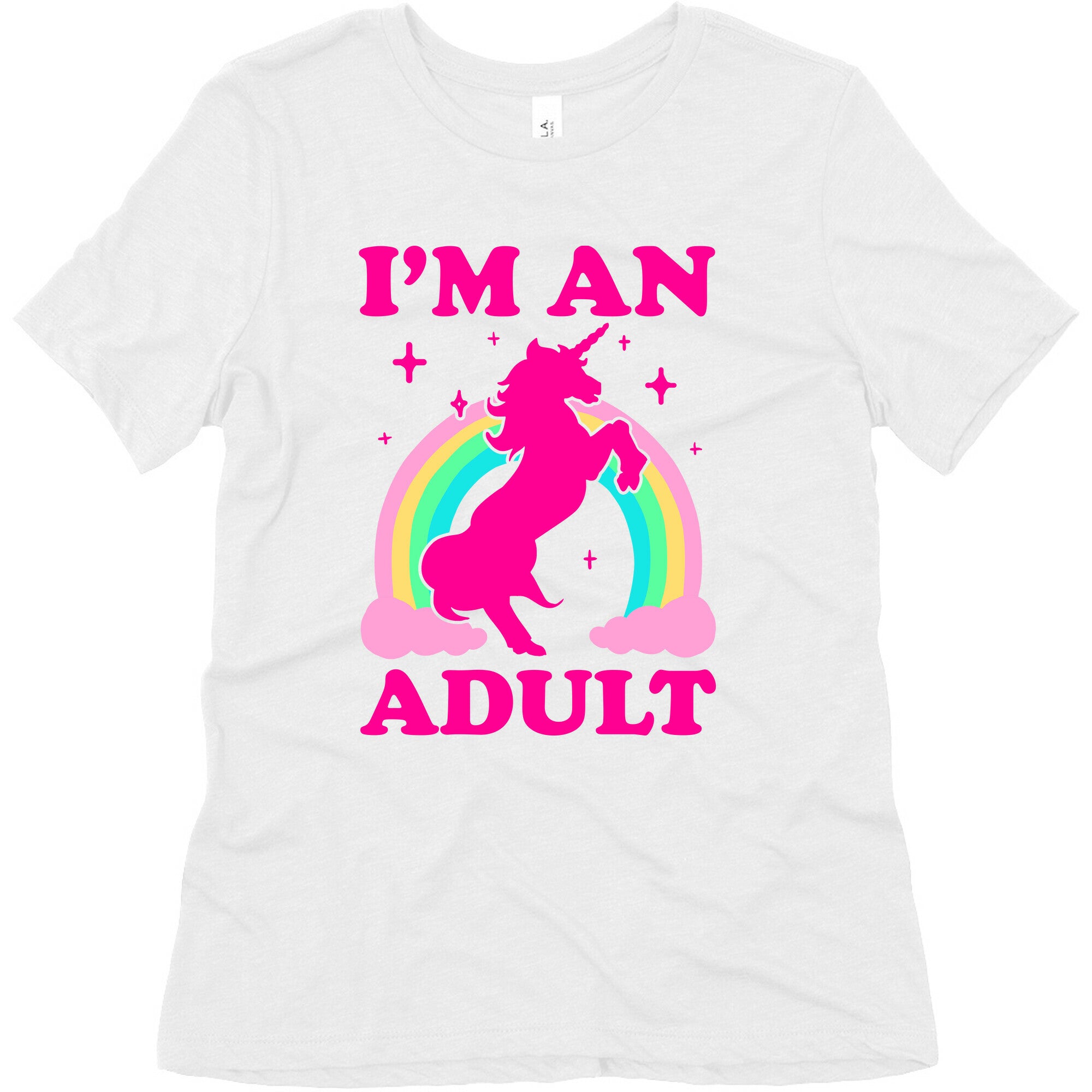 I'm An Adult Women's Triblend Tee