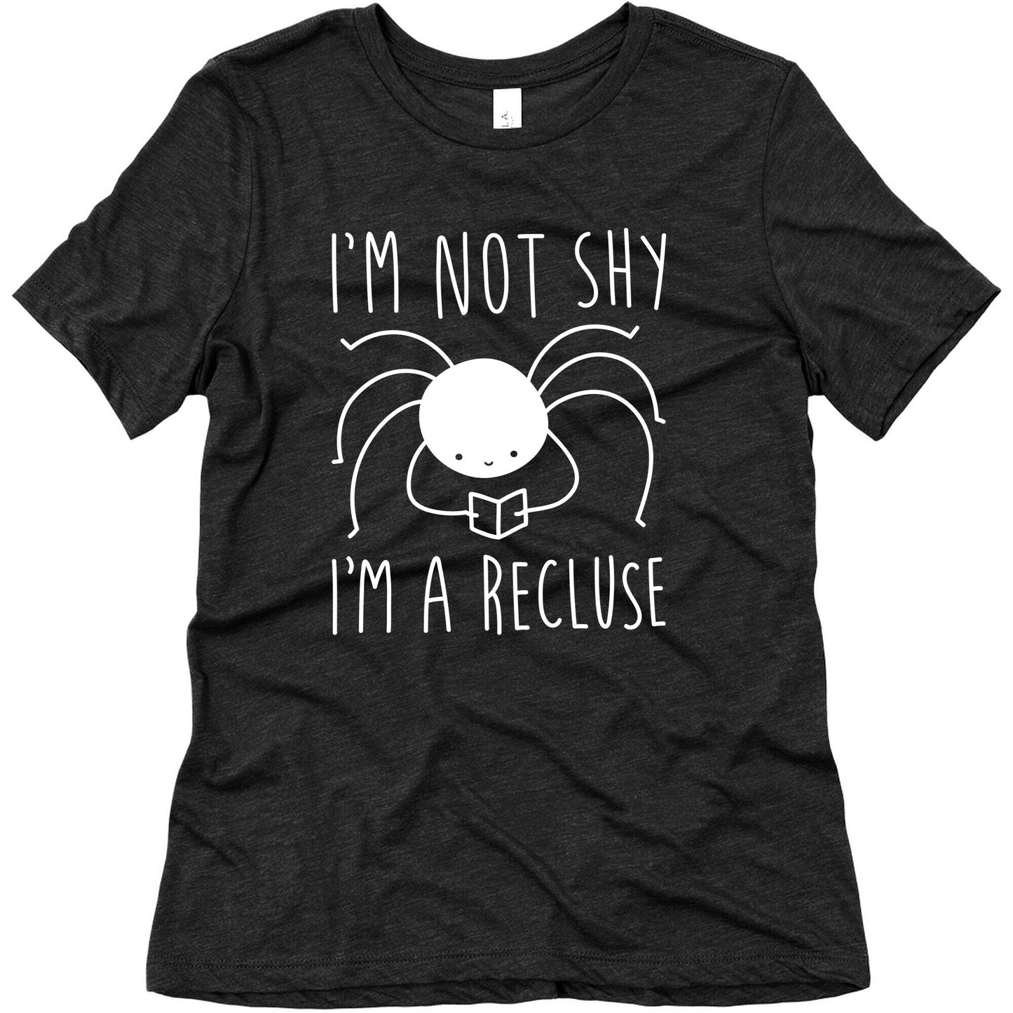 I'm Not Shy I'm A Recluse Women's Triblend Tee