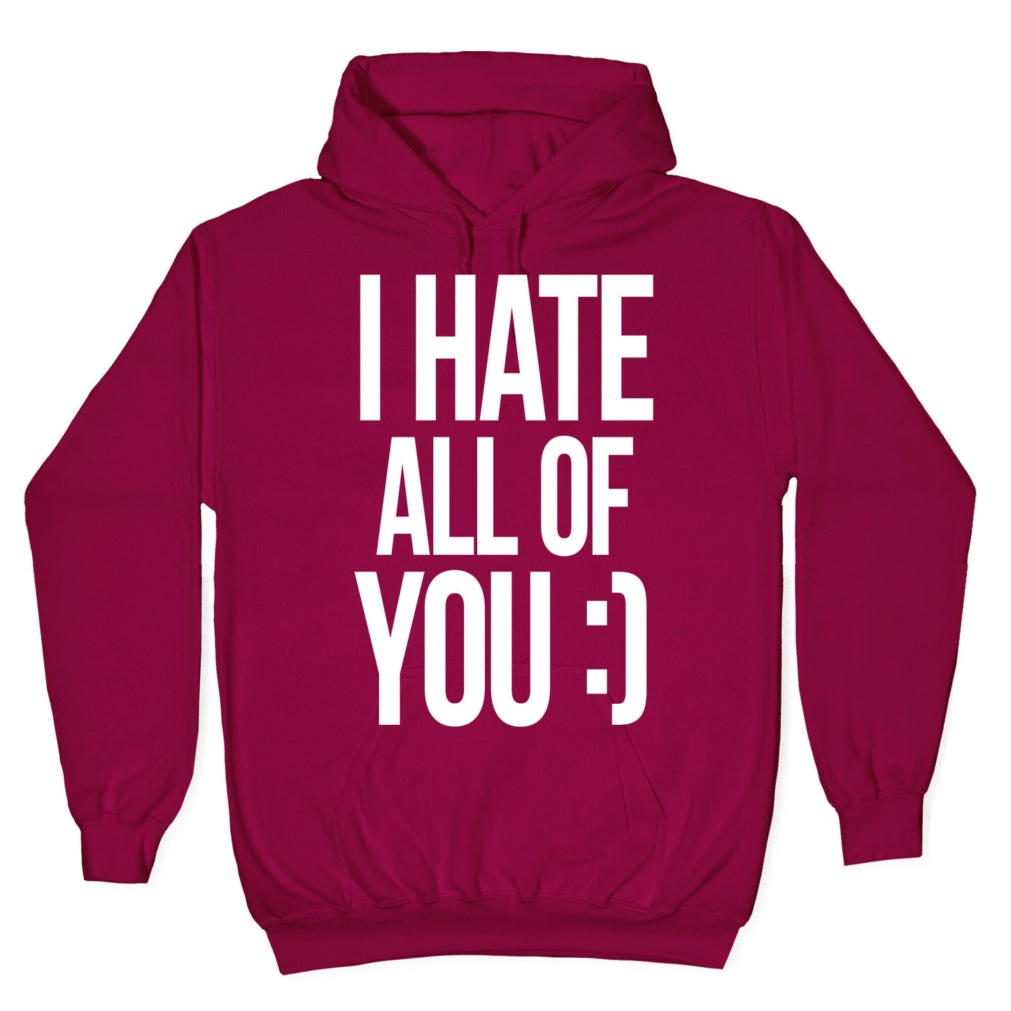 I Hate All Of You :) Hoodie