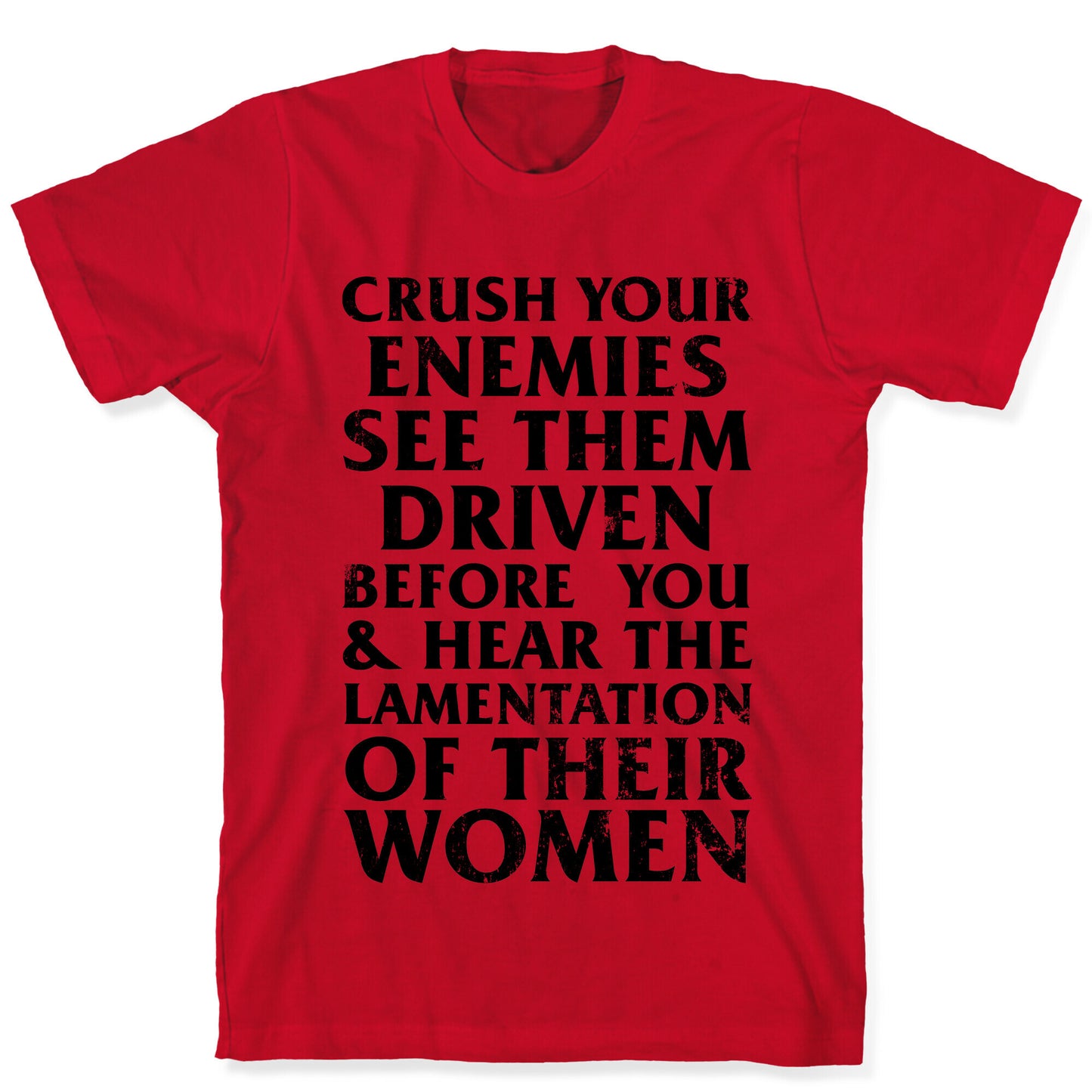 Conan, What Is Best In Life? T-Shirt