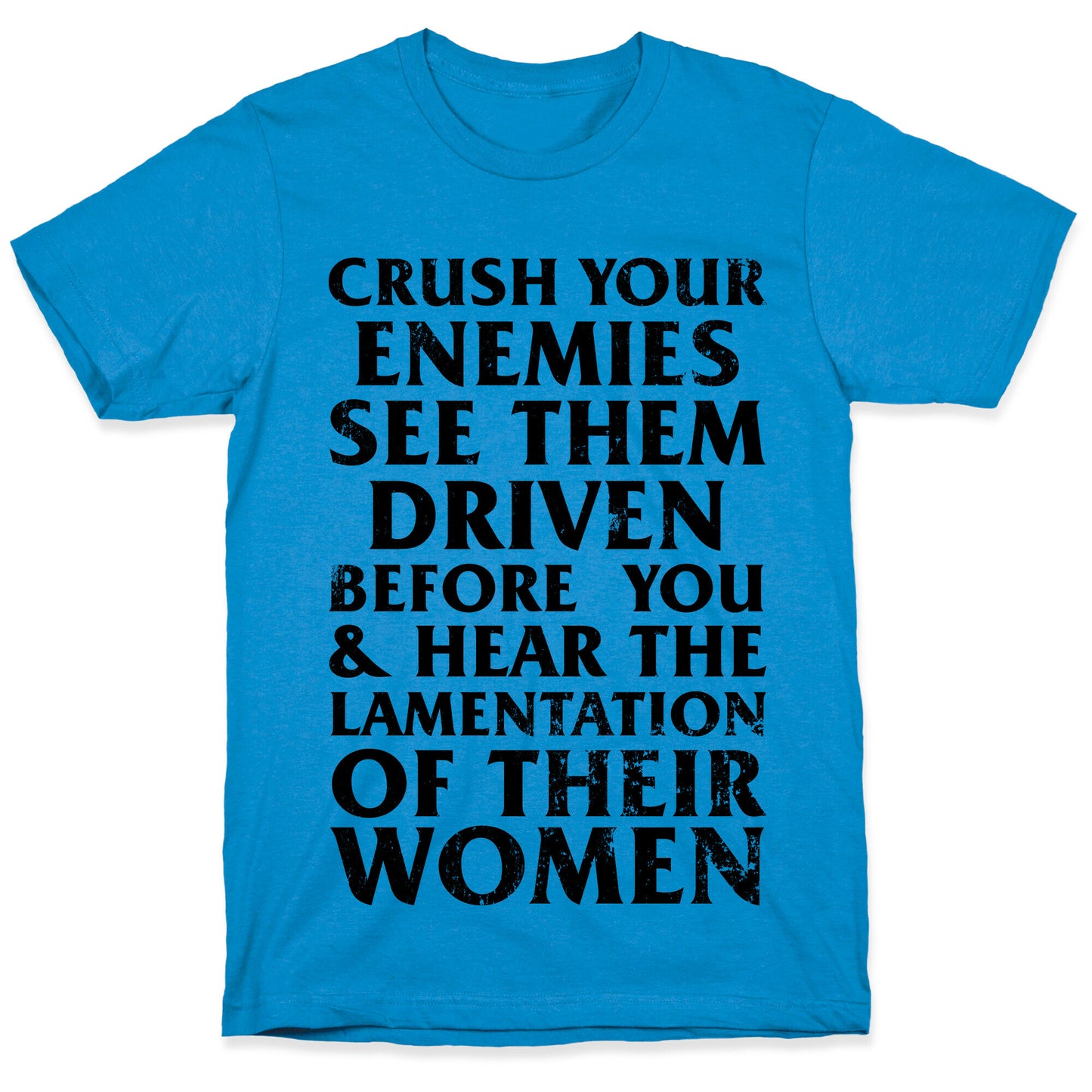 Conan, What Is Best In Life? T-Shirt