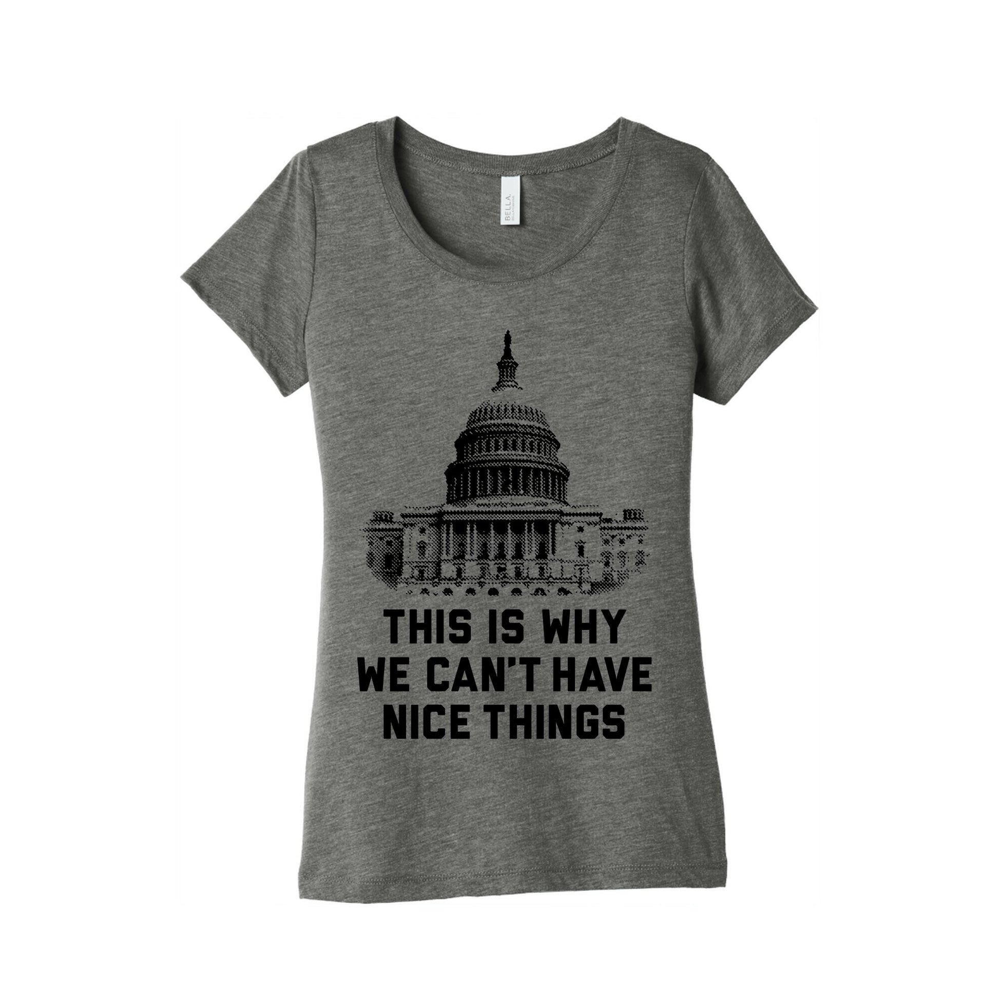 This Is Why We Can't Have Nice Things Women's Triblend Tee