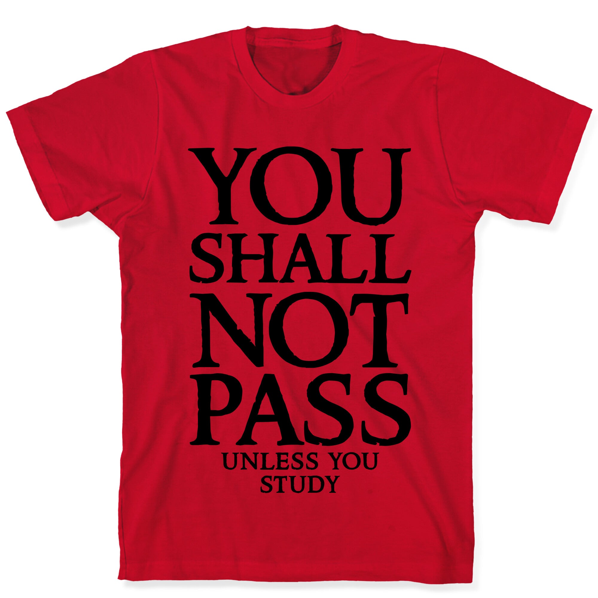 You Shall Not Pass (Unless You Study) T-Shirt