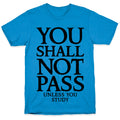 You Shall Not Pass (Unless You Study) T-Shirt