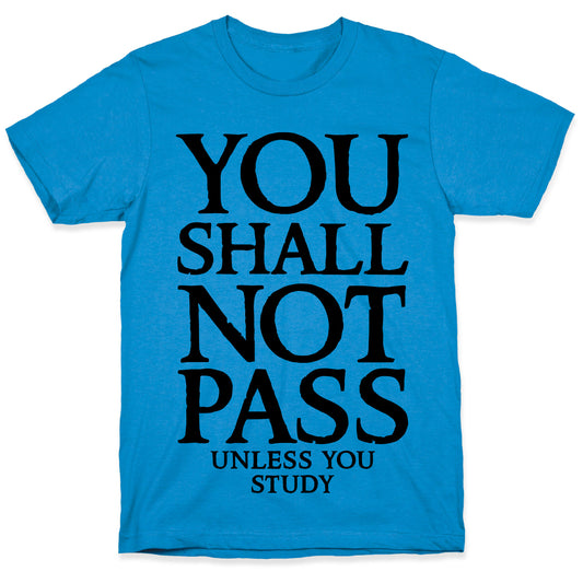 You Shall Not Pass (Unless You Study) T-Shirt