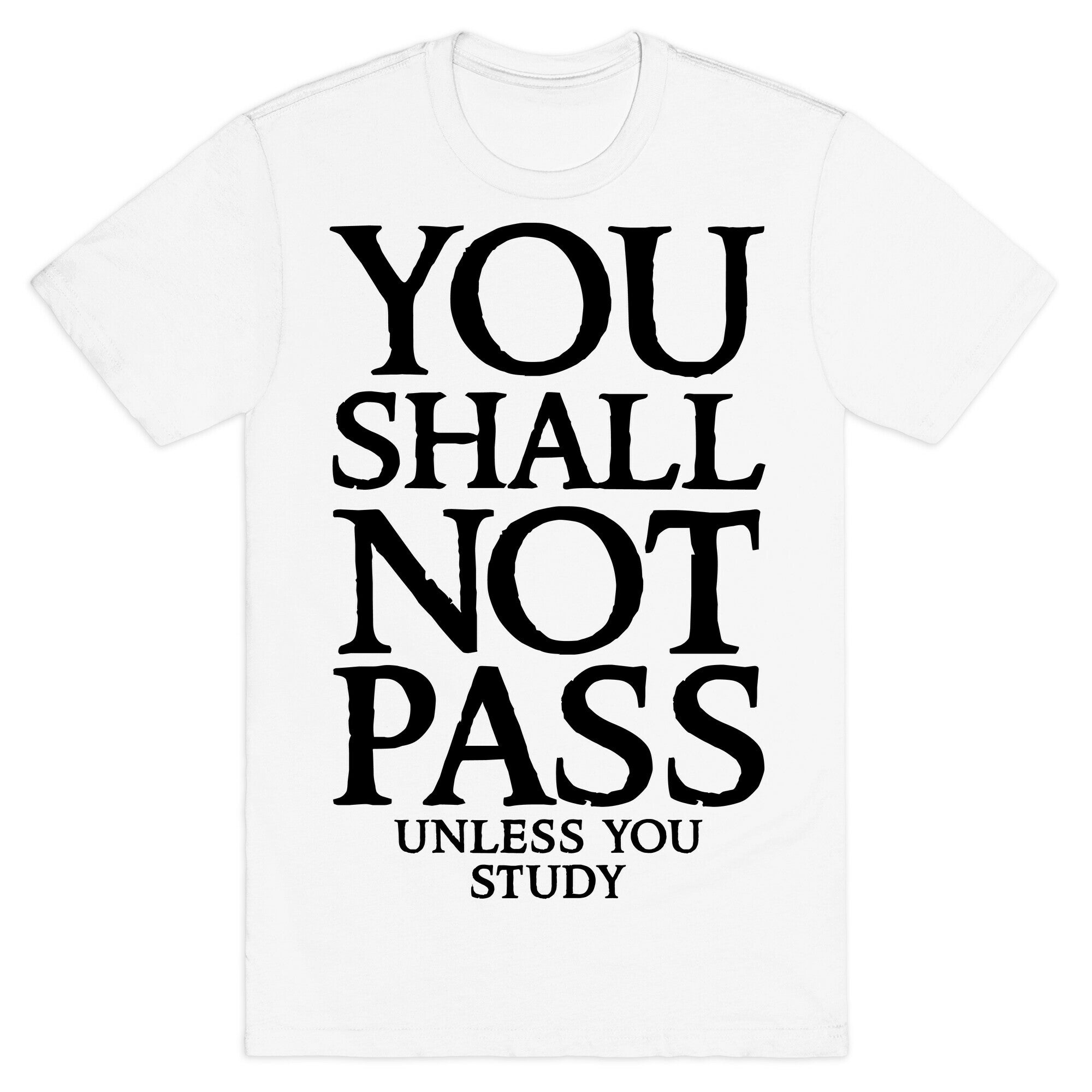 You Shall Not Pass (Unless You Study) T-Shirt
