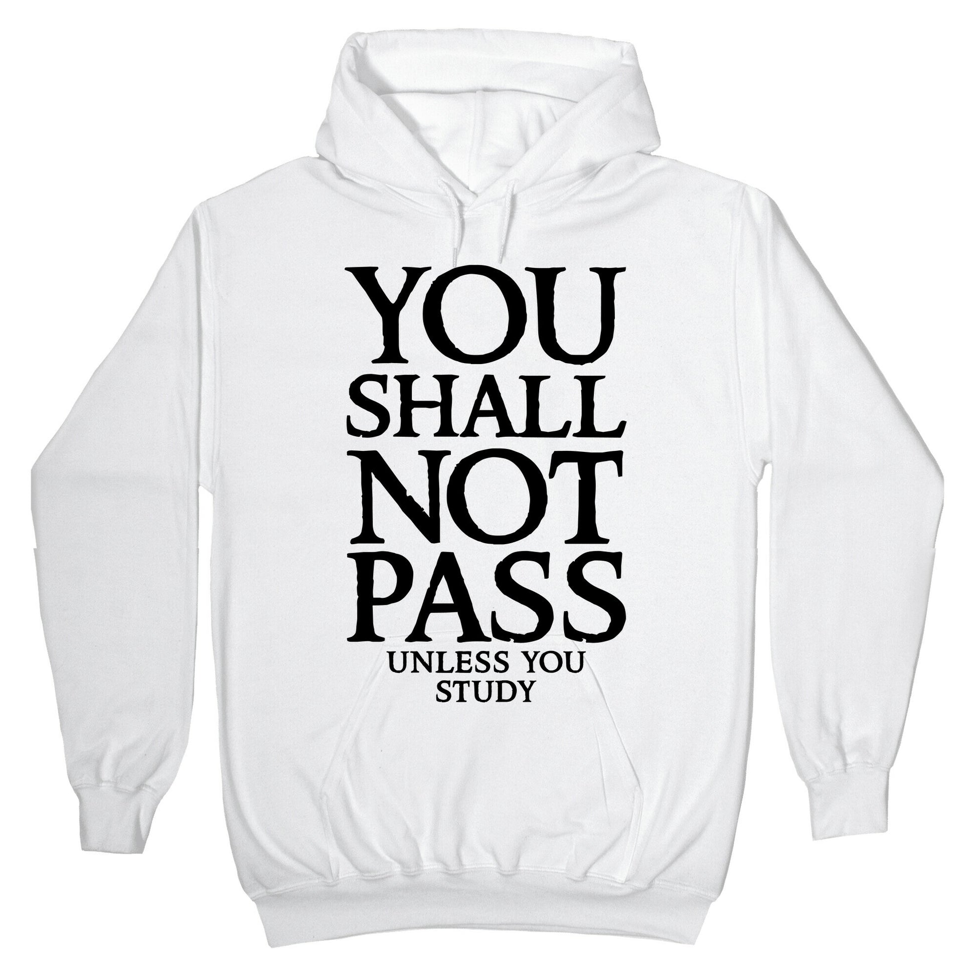 You Shall Not Pass (Unless You Study) Hoodie