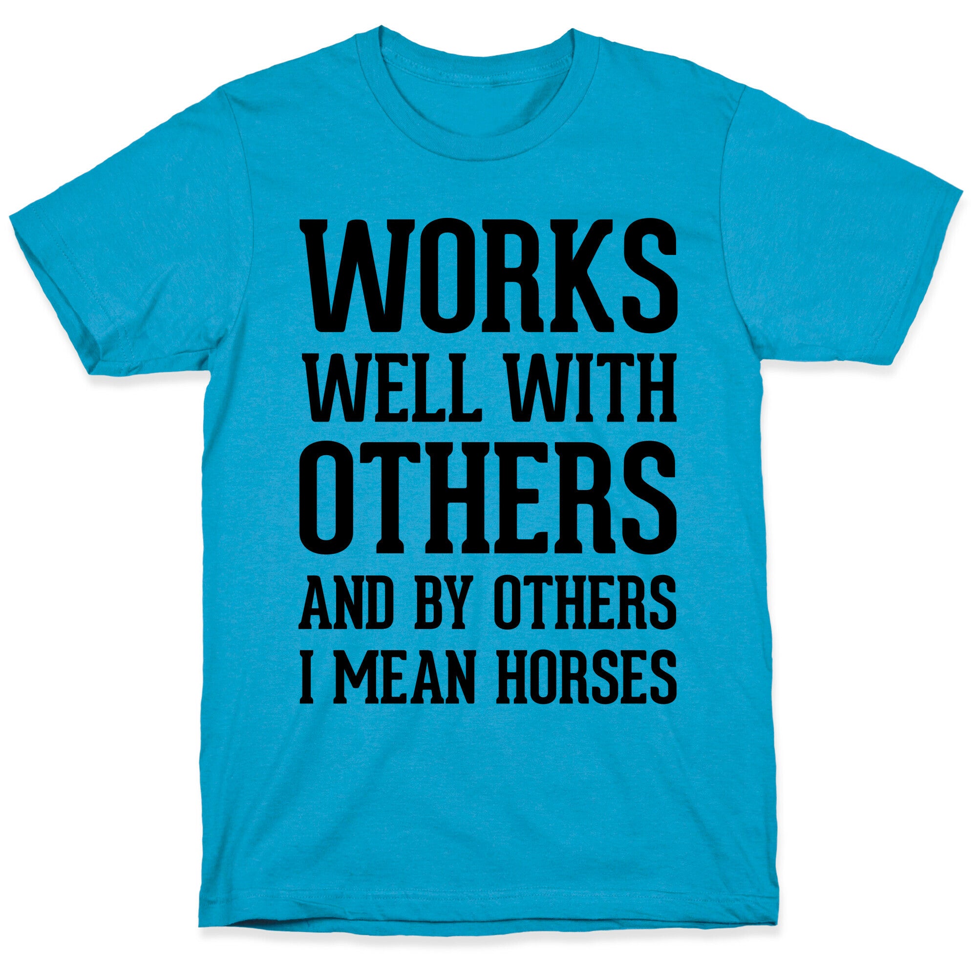 By Others I Mean Horses Unisex Triblend Tee