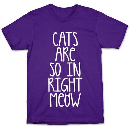 Cats Are So In Right Meow T-Shirt
