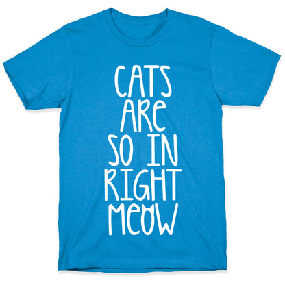 Cats Are So In Right Meow T-Shirt