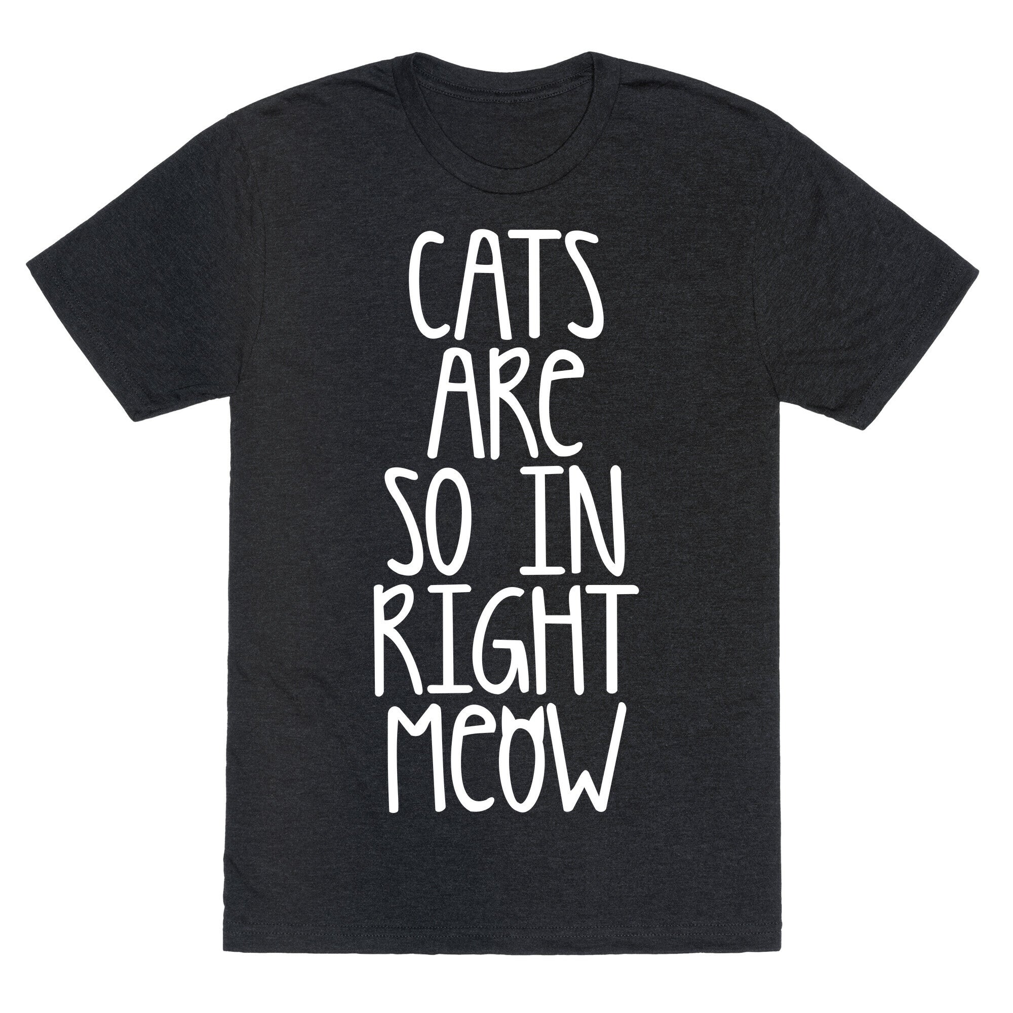 Cats Are So In Right Meow Unisex Triblend Tee