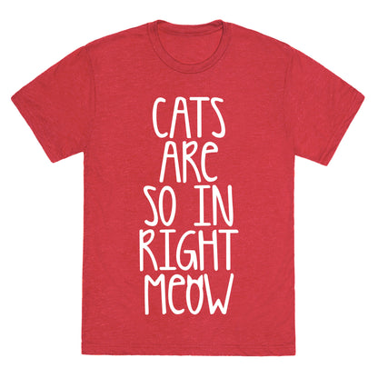 Cats Are So In Right Meow Unisex Triblend Tee
