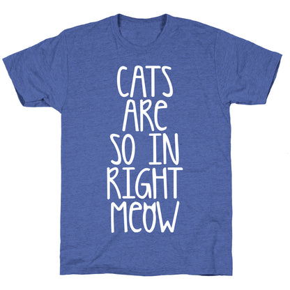 Cats Are So In Right Meow Unisex Triblend Tee