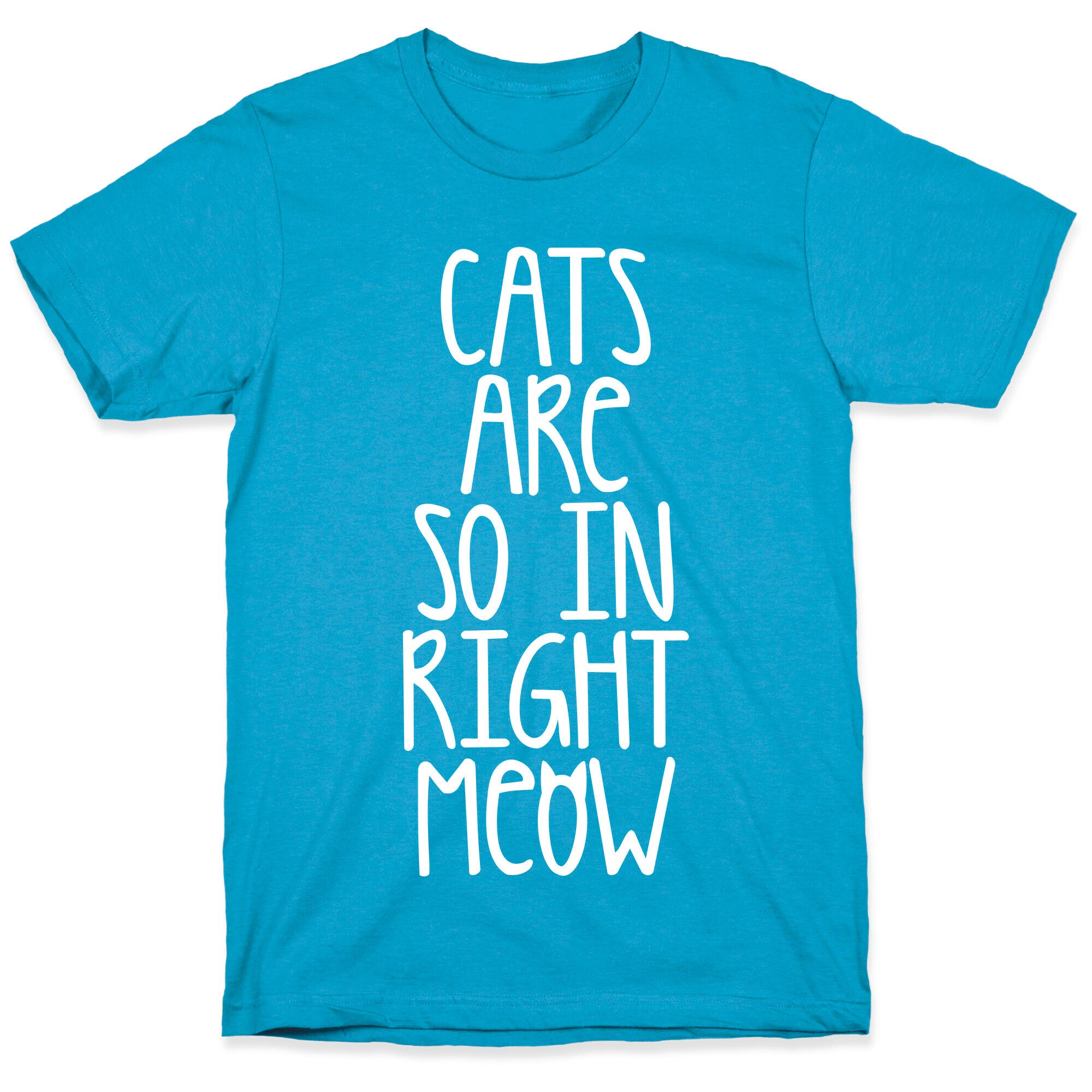 Cats Are So In Right Meow Unisex Triblend Tee