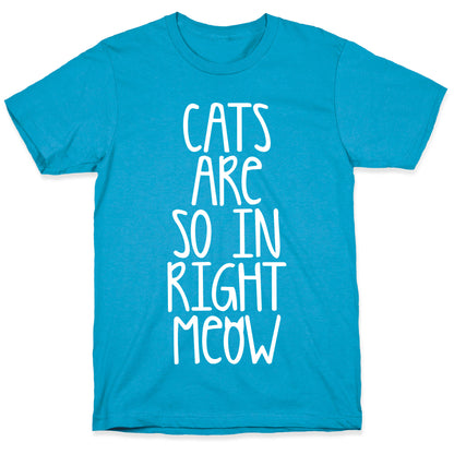 Cats Are So In Right Meow Unisex Triblend Tee