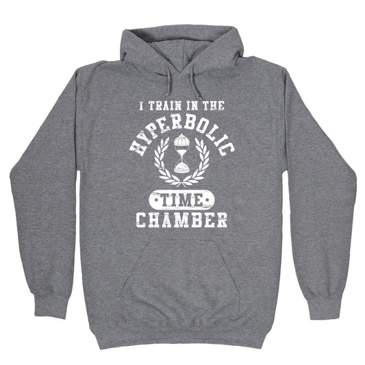 Hyperbolic Time Chamber (Distressed) Hoodie