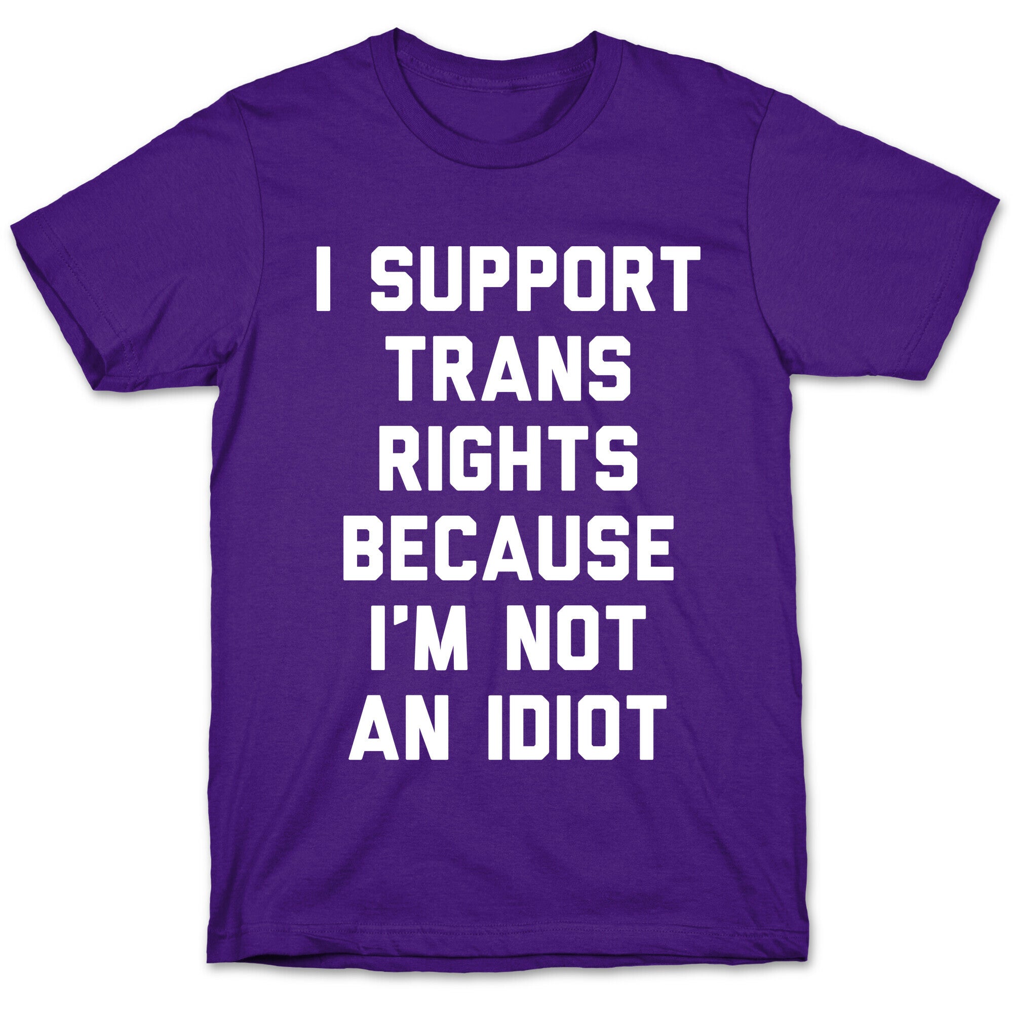 I Support Trans Rights Because I'm Not An Idiot T-Shirt