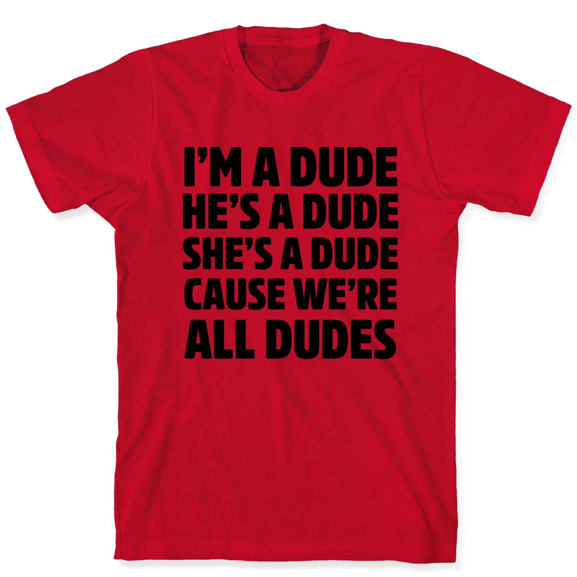 I'm a Dude, He's a Dude, She's a Dude T-Shirt