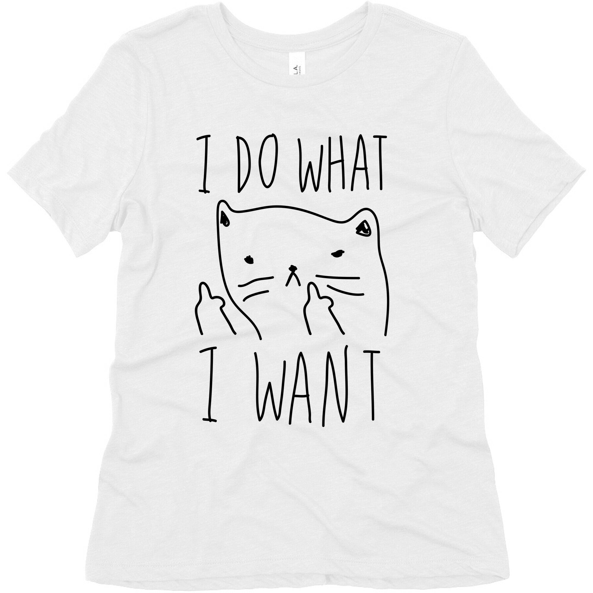I Do What I Want Cat Women's Triblend Tee