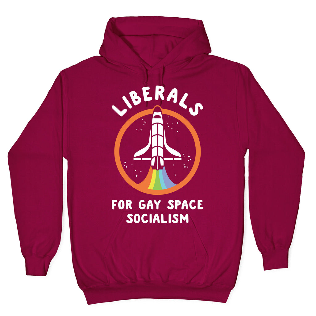 Liberals For Gay Space Socialism Hoodie