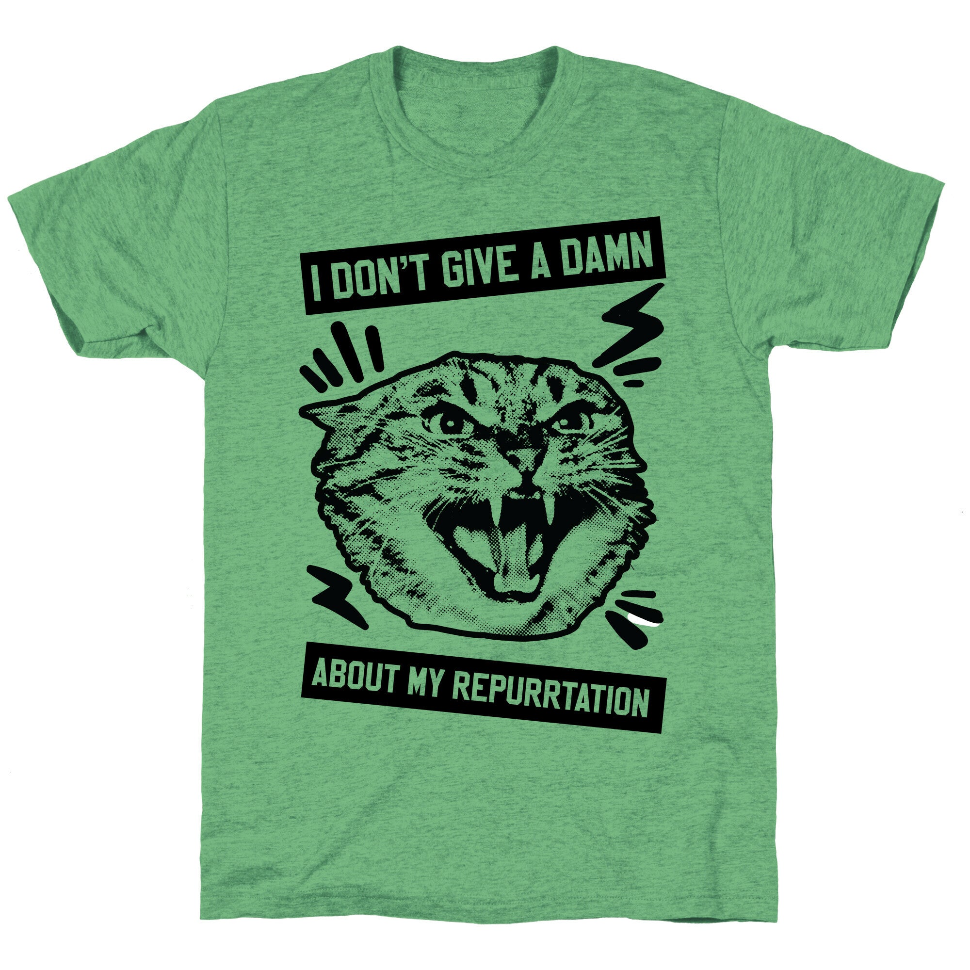 I Don't Give A Damn About My Repurrtation Unisex Triblend Tee