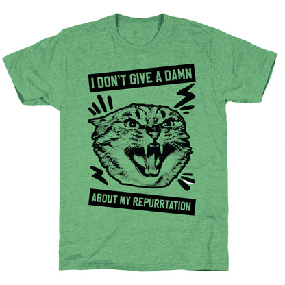 I Don't Give A Damn About My Repurrtation Unisex Triblend Tee