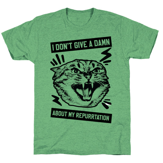 I Don't Give A Damn About My Repurrtation Unisex Triblend Tee