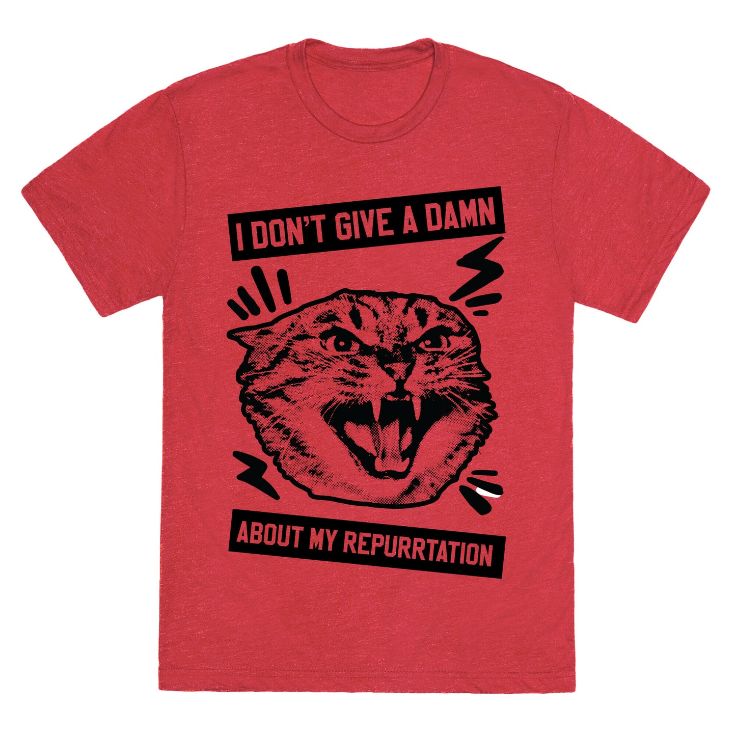 I Don't Give A Damn About My Repurrtation Unisex Triblend Tee
