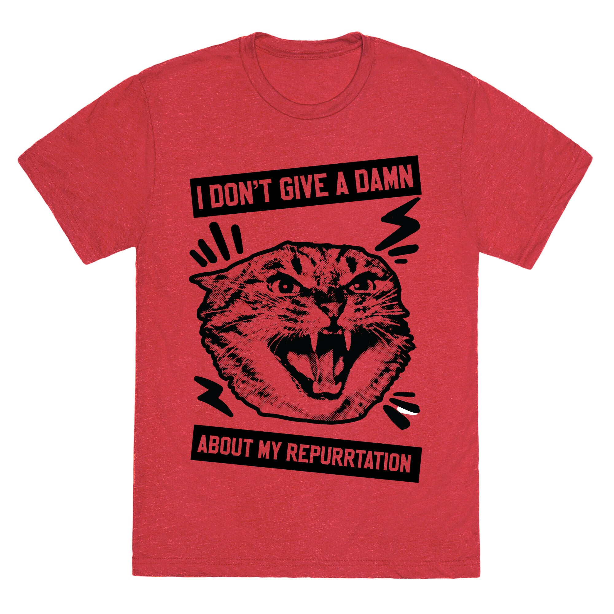 I Don't Give A Damn About My Repurrtation Unisex Triblend Tee
