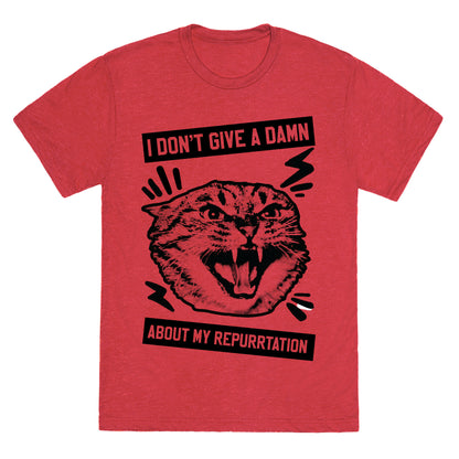 I Don't Give A Damn About My Repurrtation Unisex Triblend Tee
