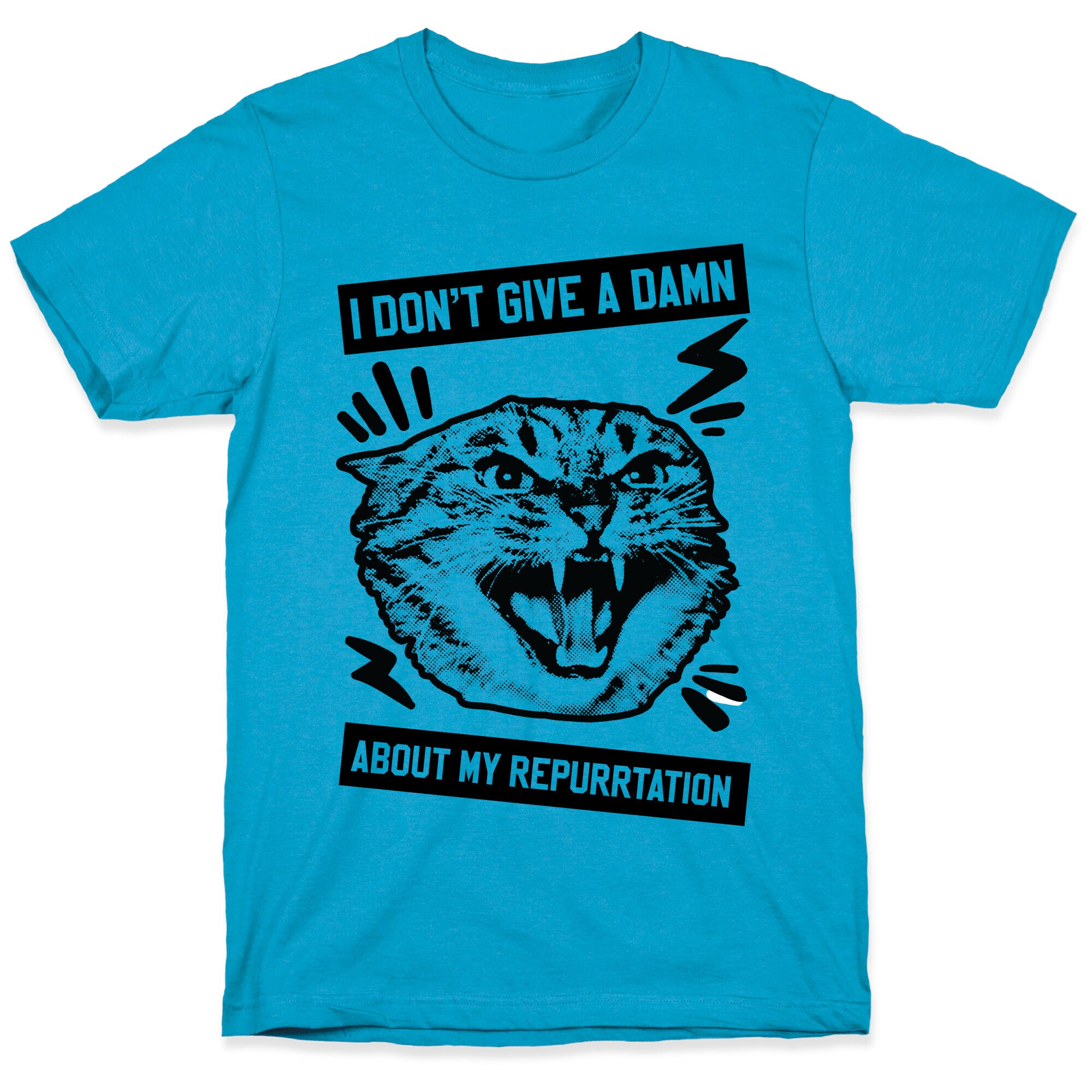I Don't Give A Damn About My Repurrtation Unisex Triblend Tee