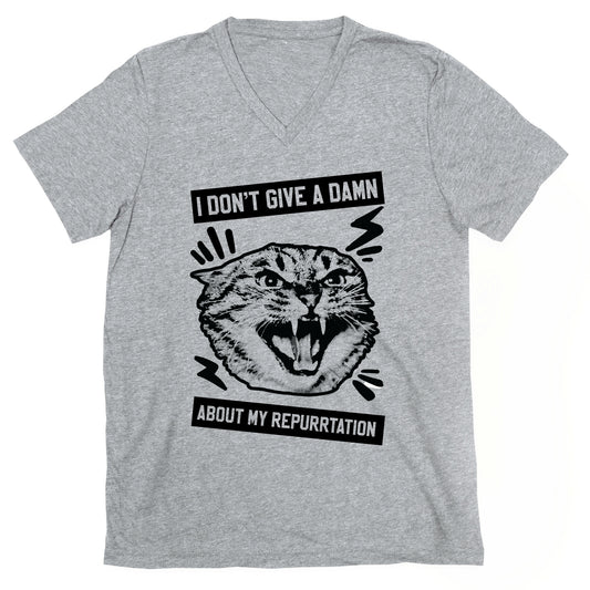 I Don't Give A Damn About My Repurrtation V-Neck