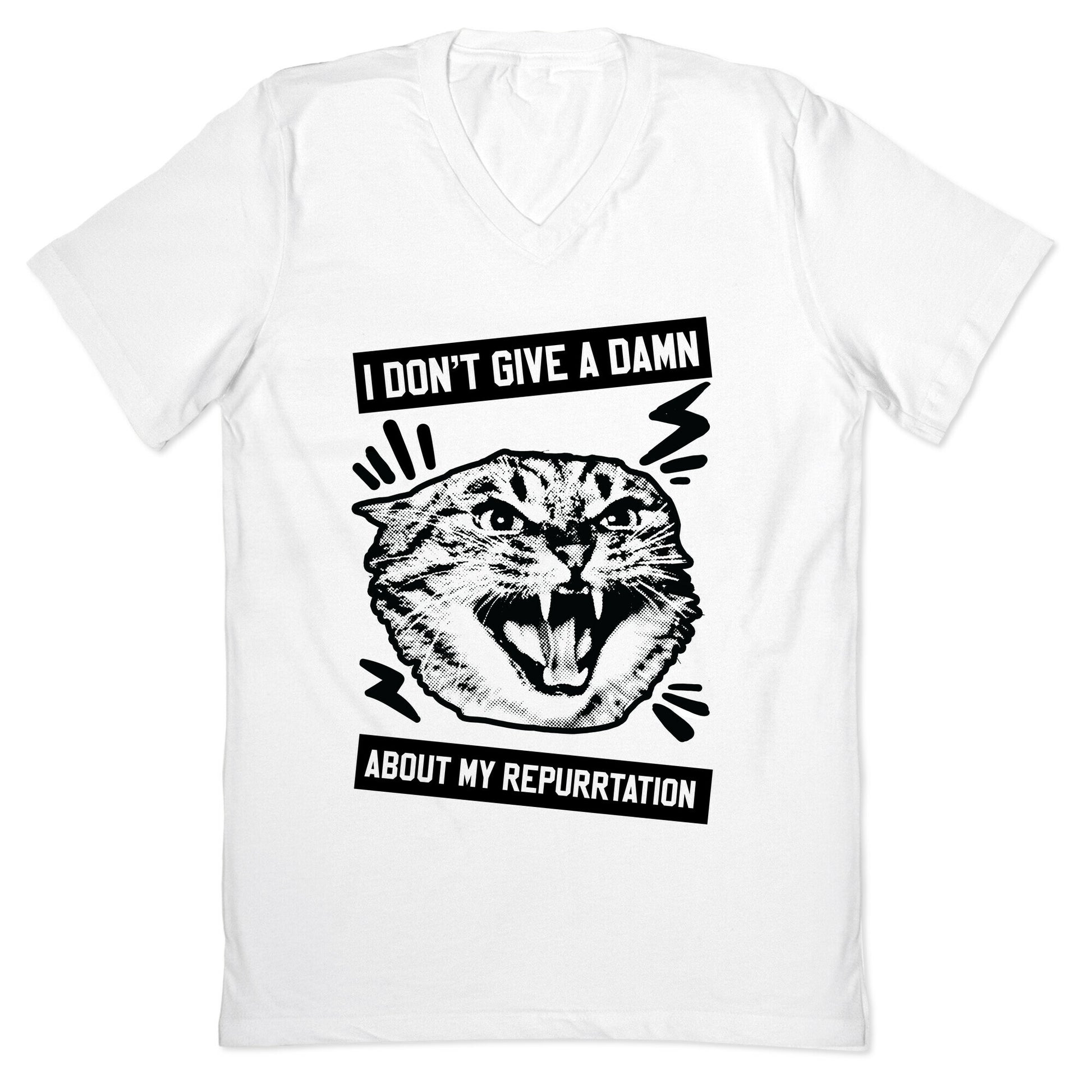 I Don't Give A Damn About My Repurrtation V-Neck