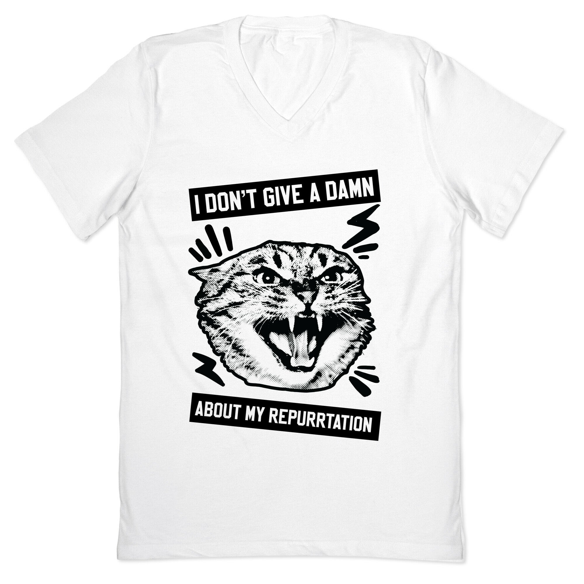 I Don't Give A Damn About My Repurrtation V-Neck