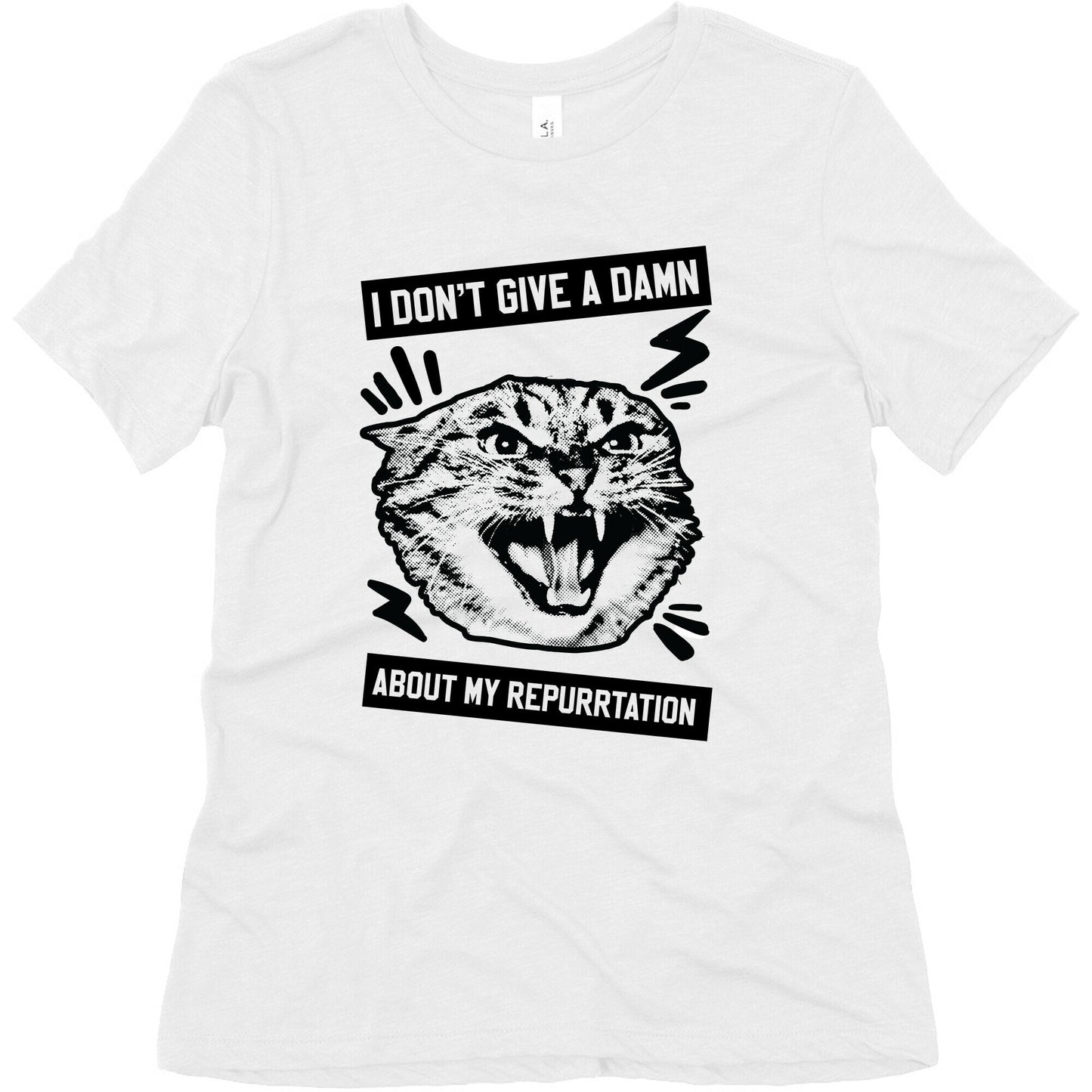 I Don't Give A Damn About My Repurrtation Women's Triblend Tee