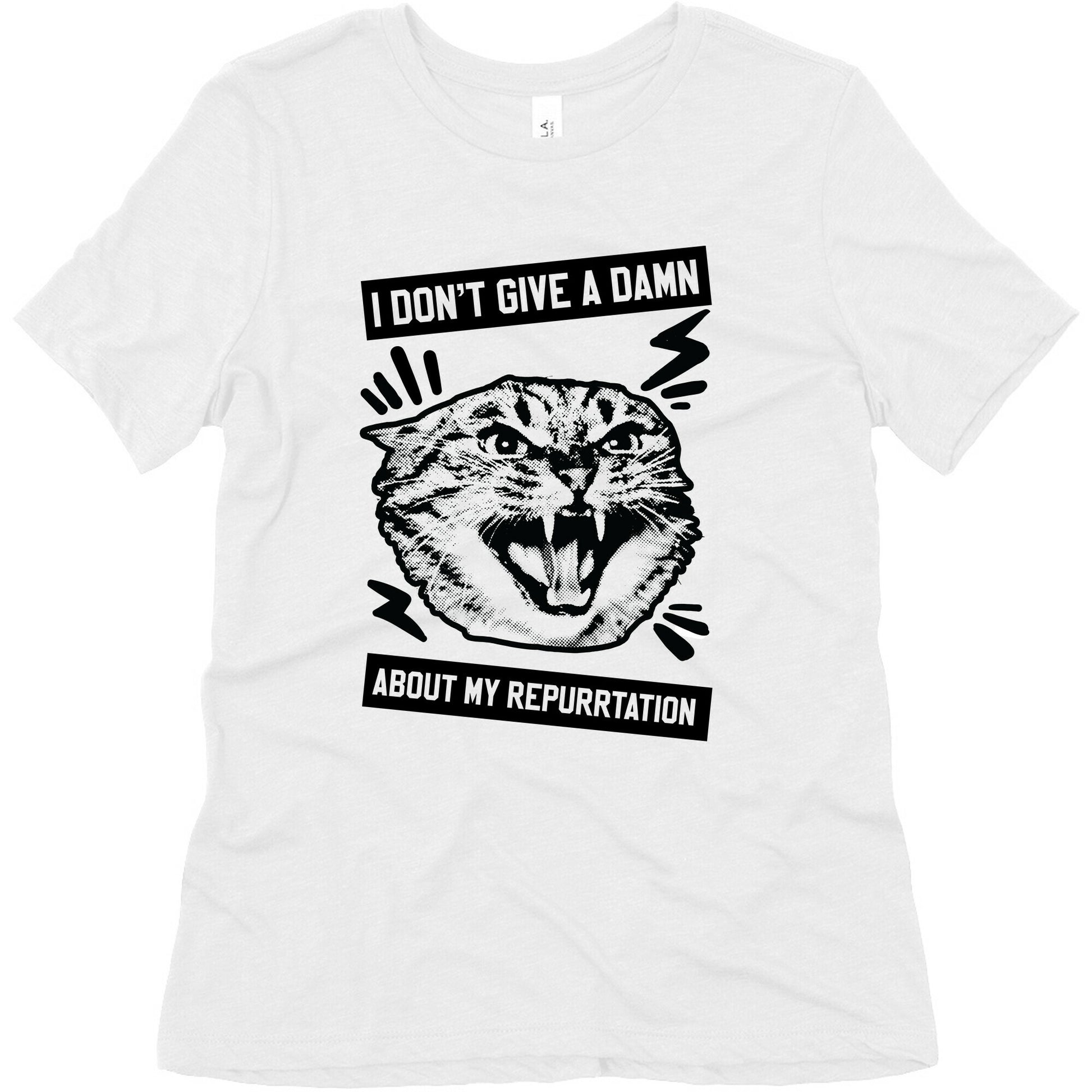 I Don't Give A Damn About My Repurrtation Women's Triblend Tee