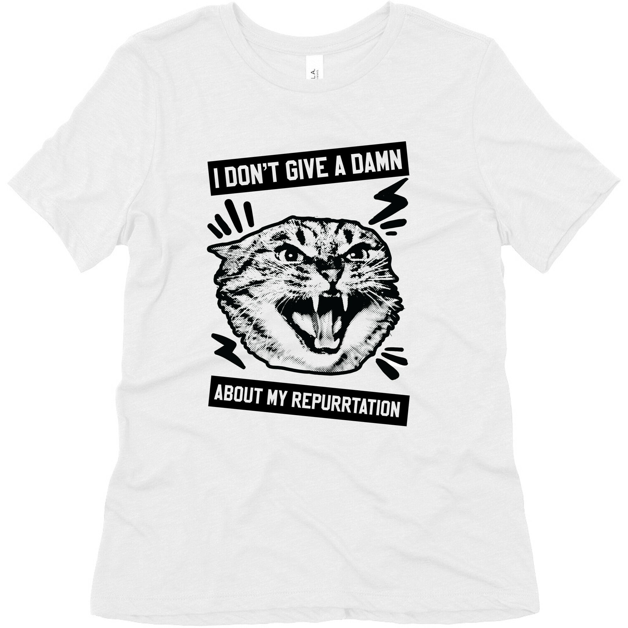 I Don't Give A Damn About My Repurrtation Women's Triblend Tee