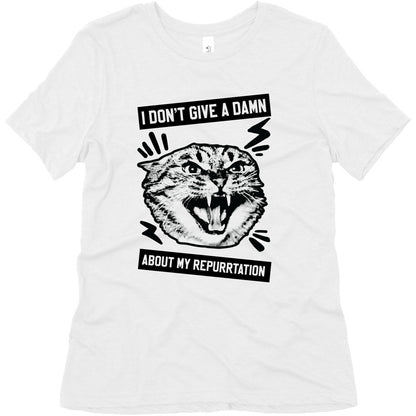 I Don't Give A Damn About My Repurrtation Women's Triblend Tee