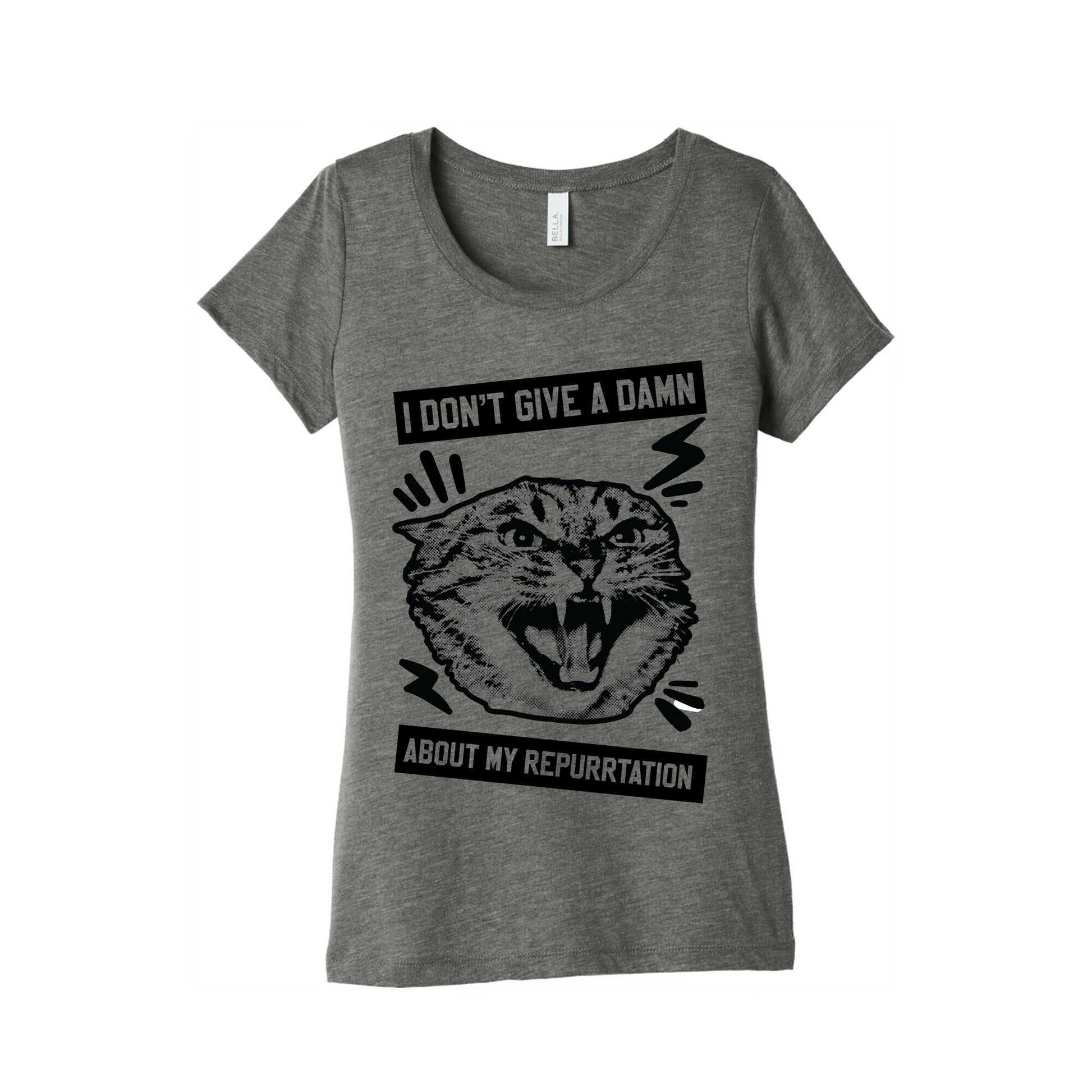 I Don't Give A Damn About My Repurrtation Women's Triblend Tee