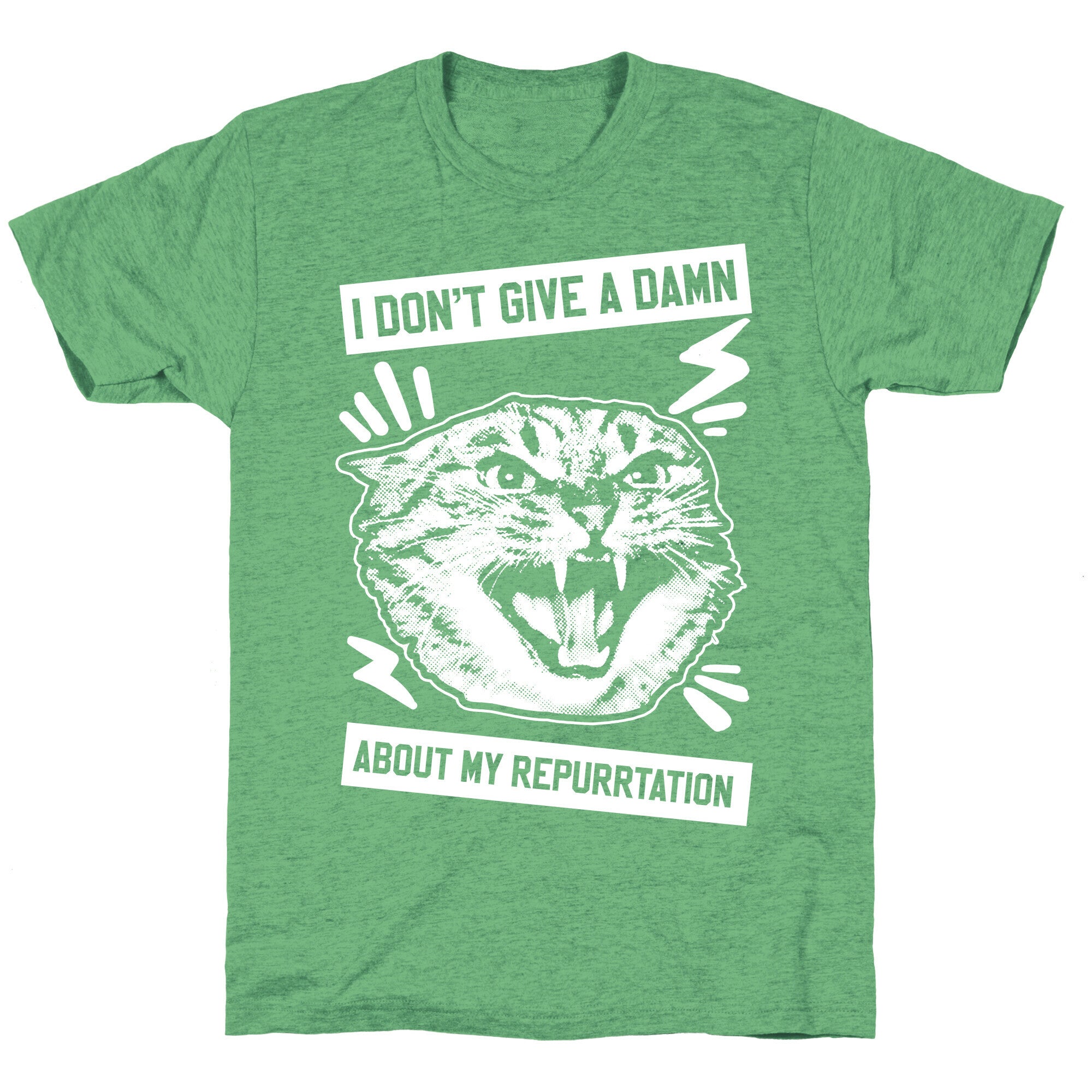 I Don't Give A Damn About My Repurrtation Unisex Triblend Tee
