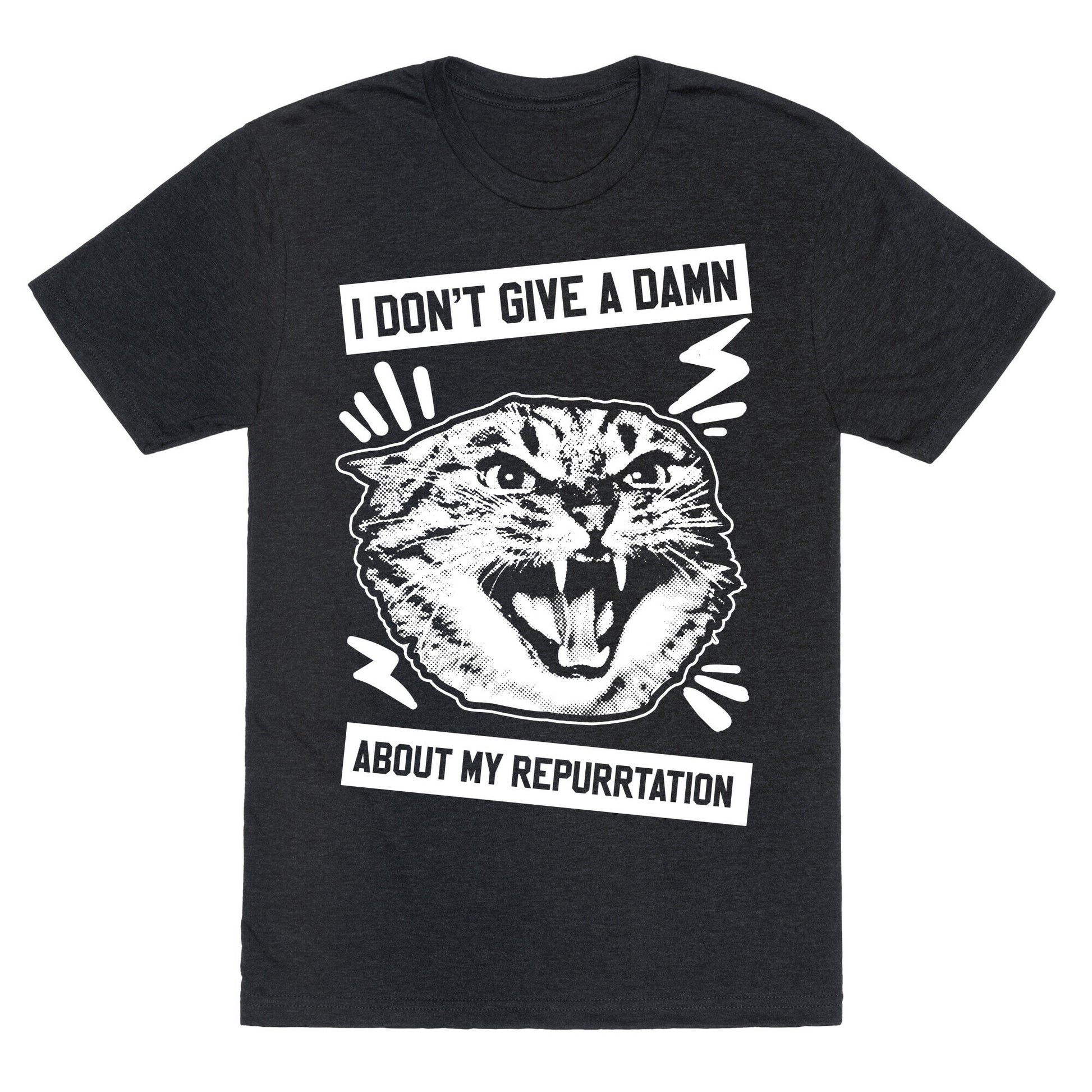 I Don't Give A Damn About My Repurrtation Unisex Triblend Tee