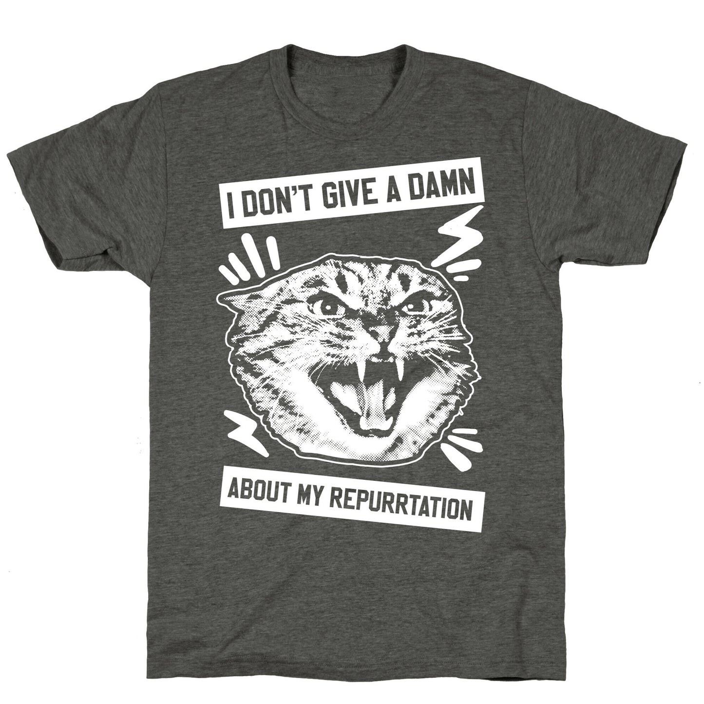 I Don't Give A Damn About My Repurrtation Unisex Triblend Tee