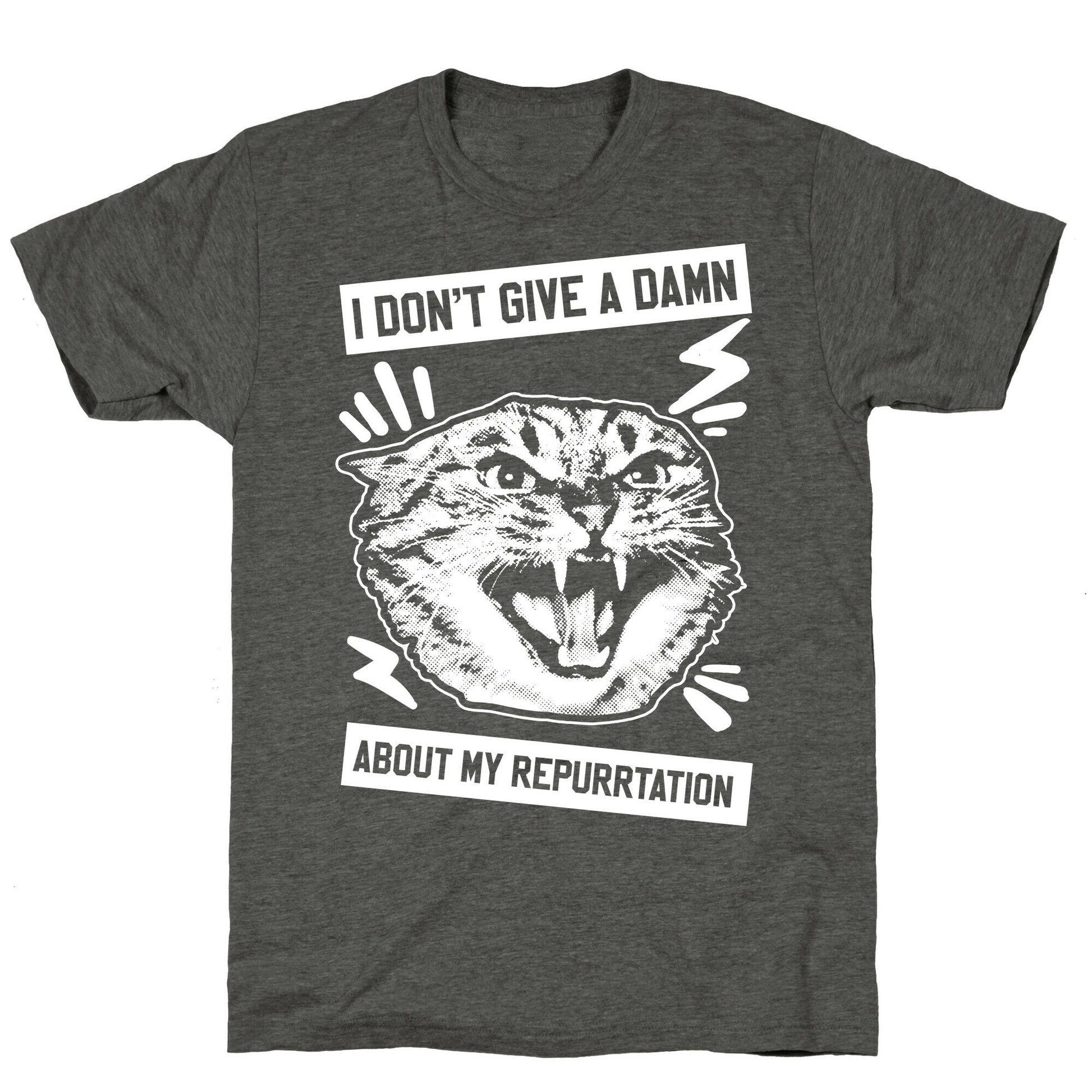 I Don't Give A Damn About My Repurrtation Unisex Triblend Tee