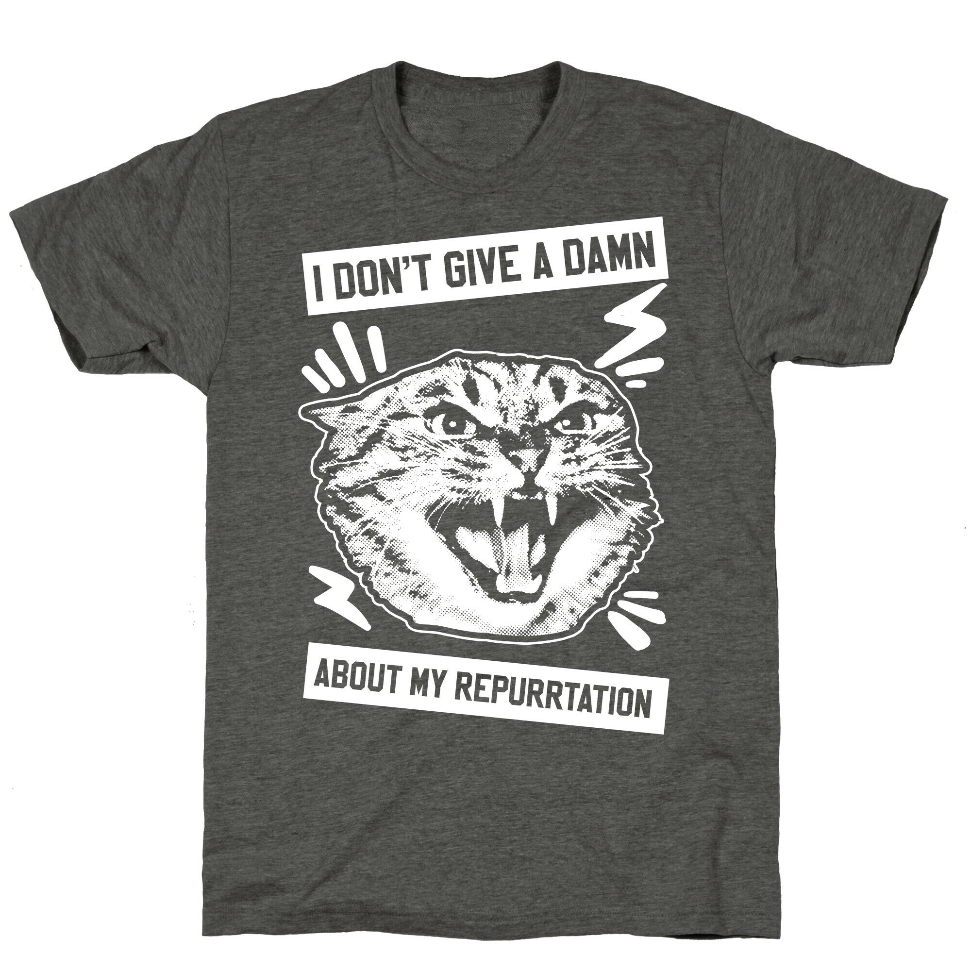 I Don't Give A Damn About My Repurrtation Unisex Triblend Tee