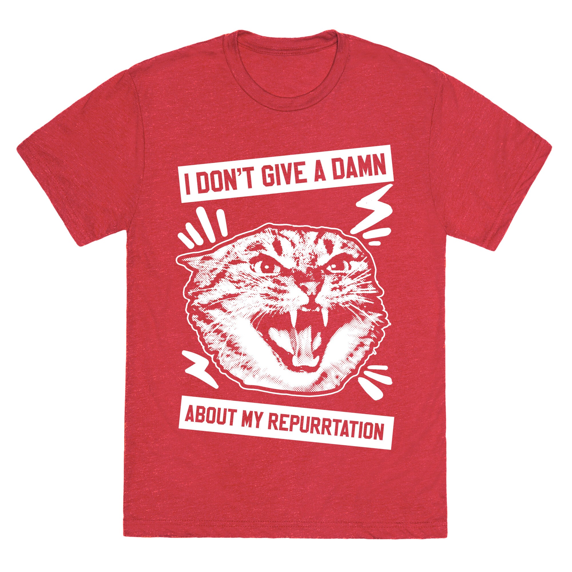 I Don't Give A Damn About My Repurrtation Unisex Triblend Tee