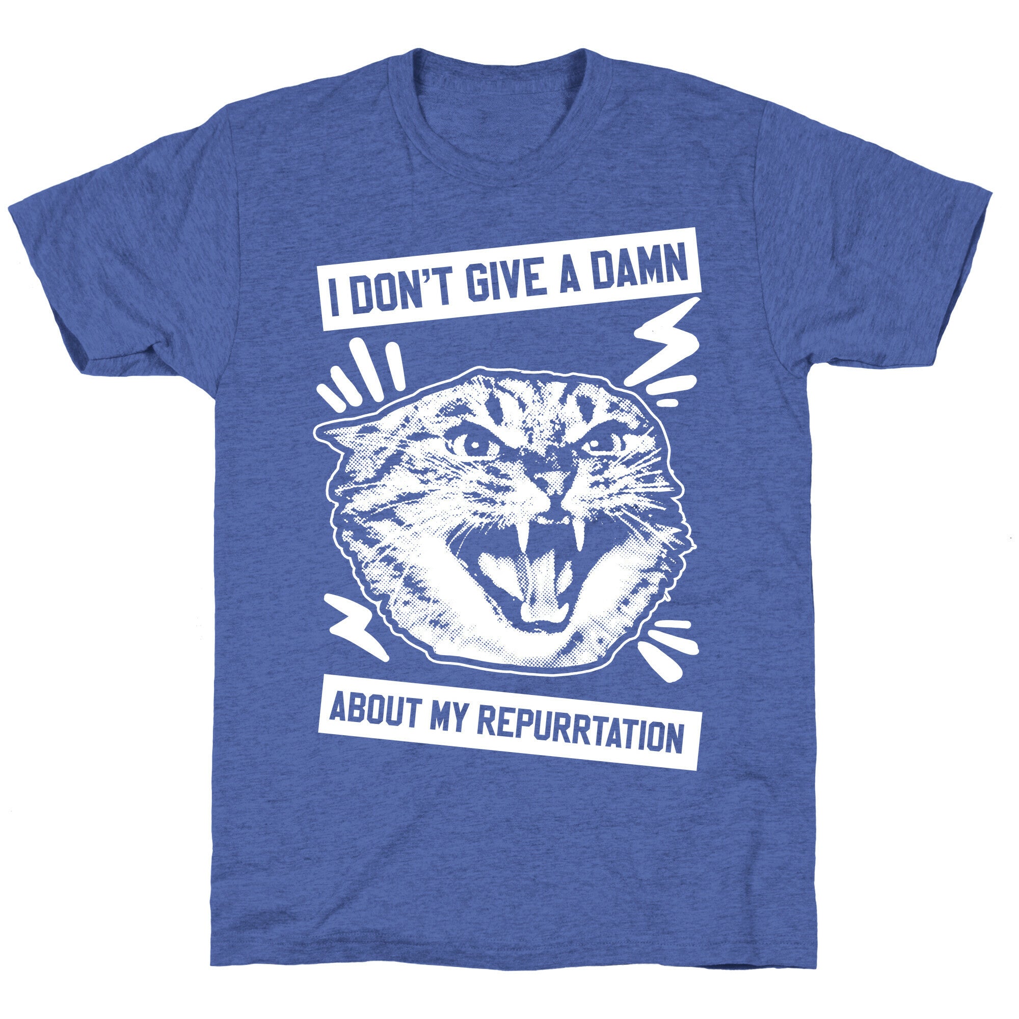 I Don't Give A Damn About My Repurrtation Unisex Triblend Tee