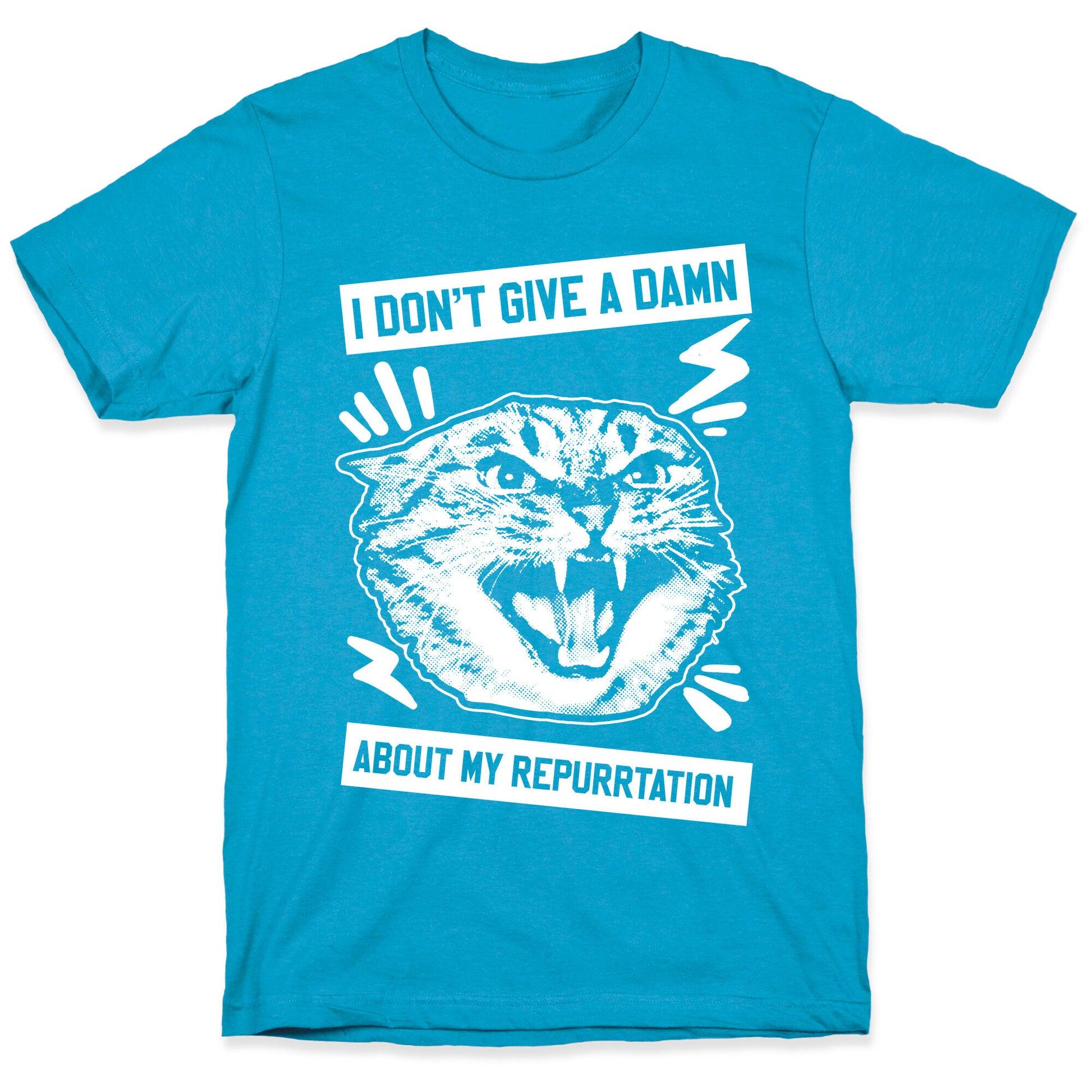 I Don't Give A Damn About My Repurrtation Unisex Triblend Tee
