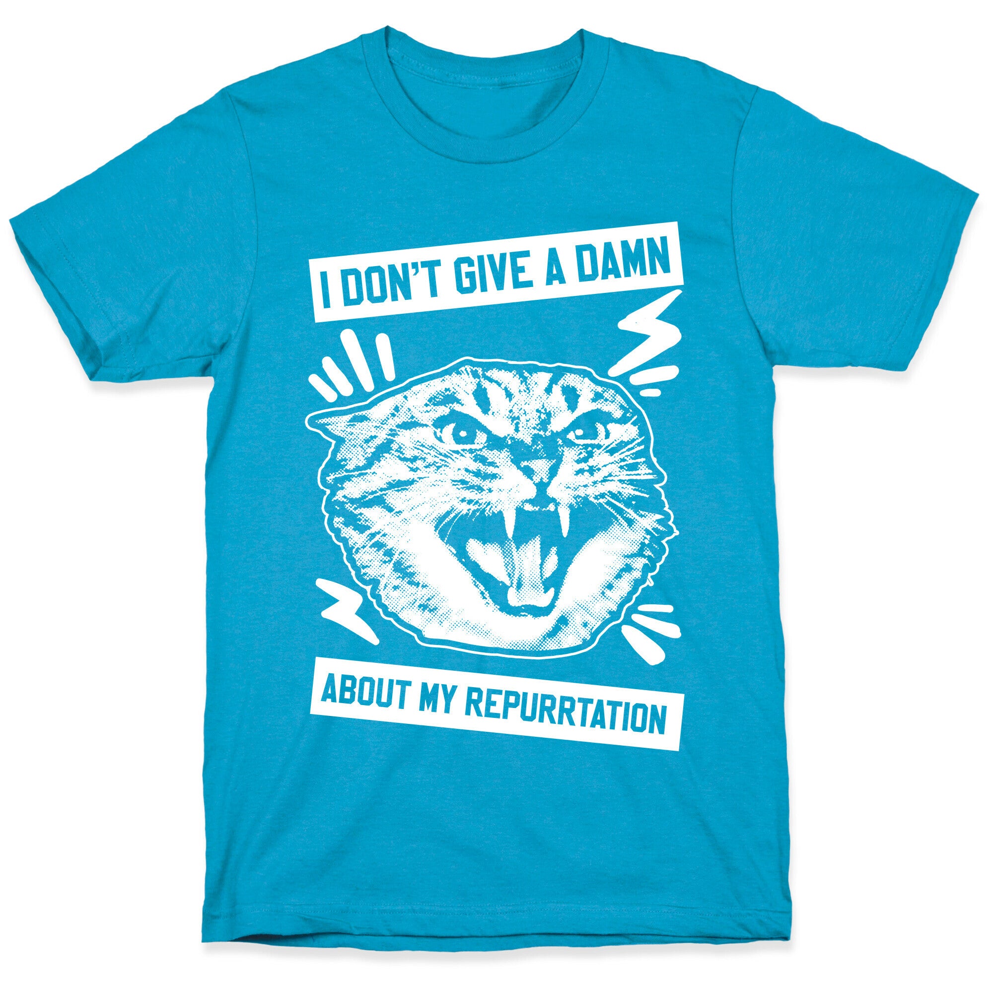 I Don't Give A Damn About My Repurrtation Unisex Triblend Tee