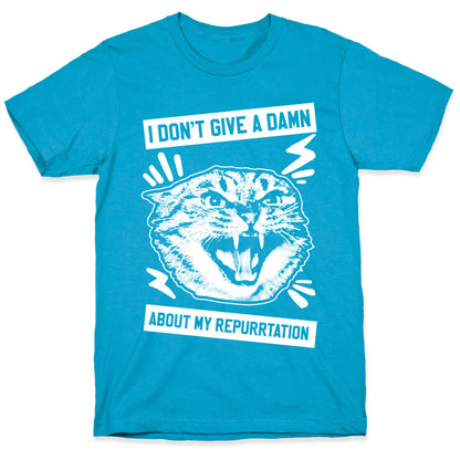 I Don't Give A Damn About My Repurrtation Unisex Triblend Tee