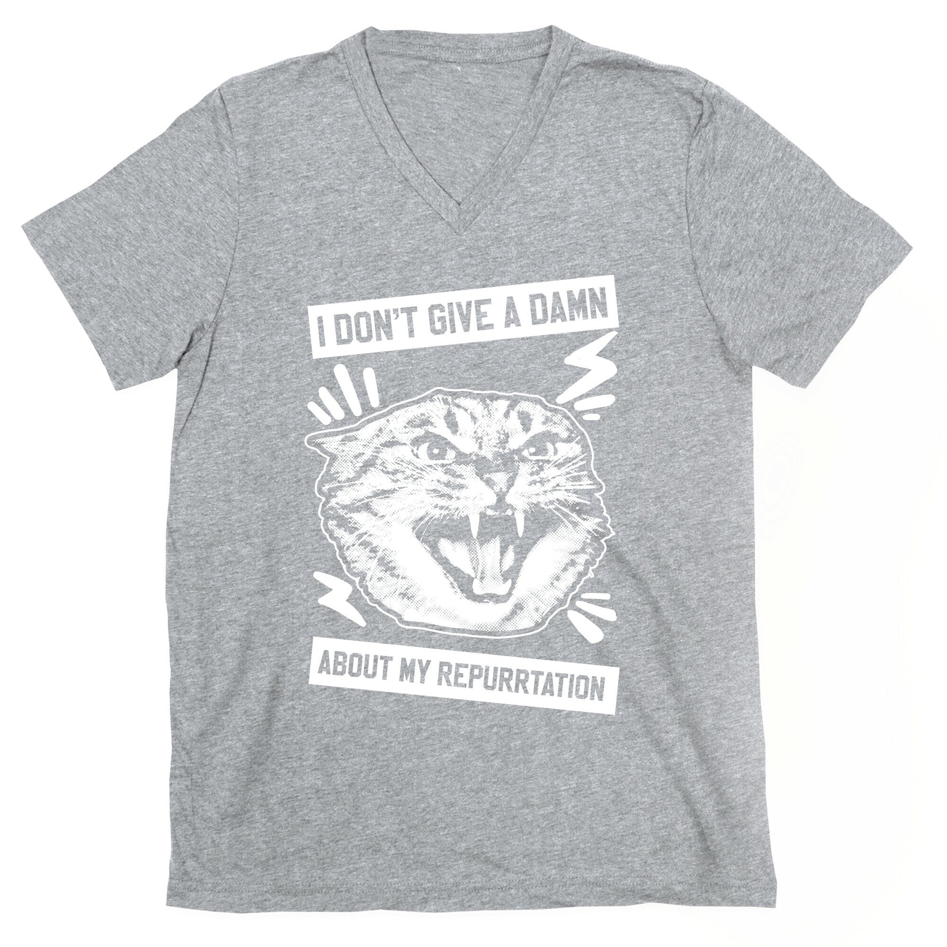 I Don't Give A Damn About My Repurrtation V-Neck